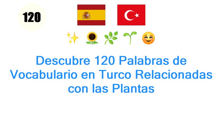 Descubre 120 Palabras de Vocabulario en Turco Relacionadas con las Plantas